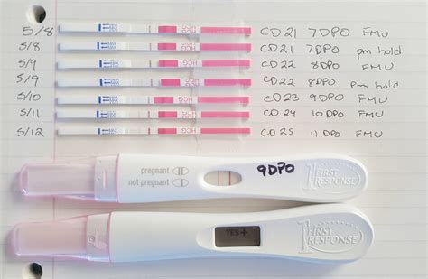 p. . 11 dpo pregnancy test accuracy